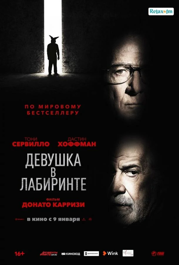 Смотреть Фильм Девушка в лабиринте(2019) бесплатно