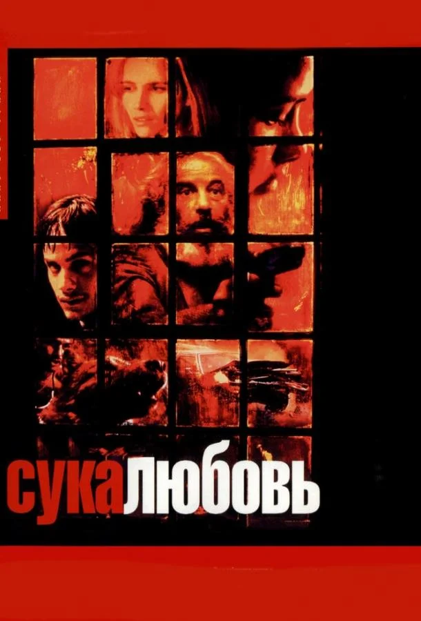 Смотреть Фильм Сука-любовь(2000) бесплатно