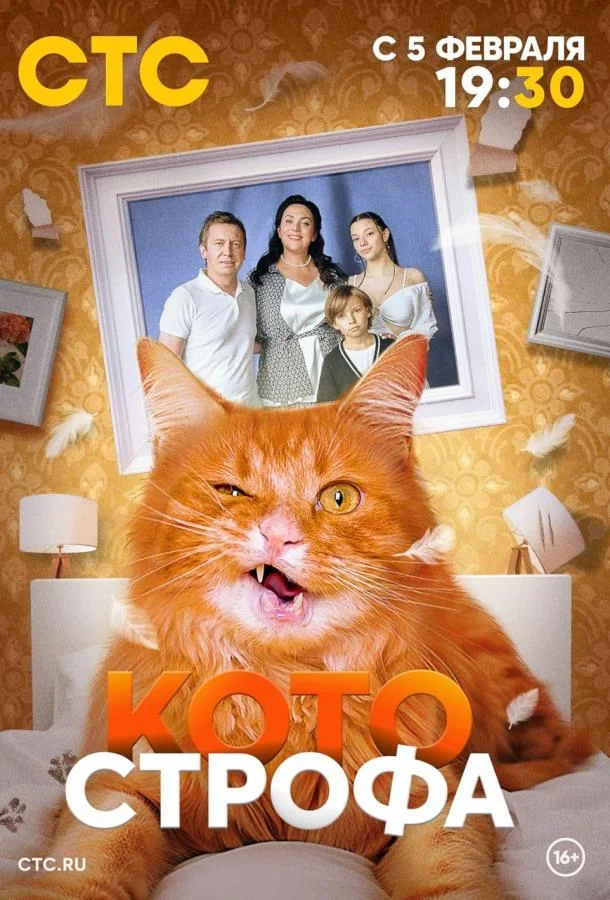 Смотреть Сериал Котострофа(2023) бесплатно