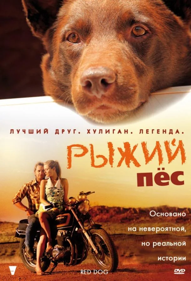 Смотреть Фильм Рыжий пес(2011) бесплатно