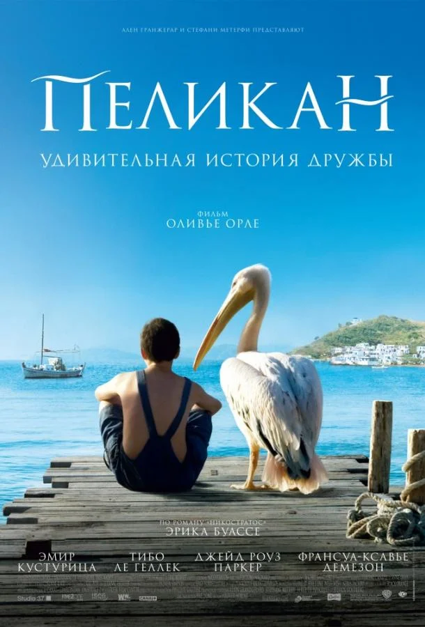 Смотреть Фильм Пеликан(2011) бесплатно